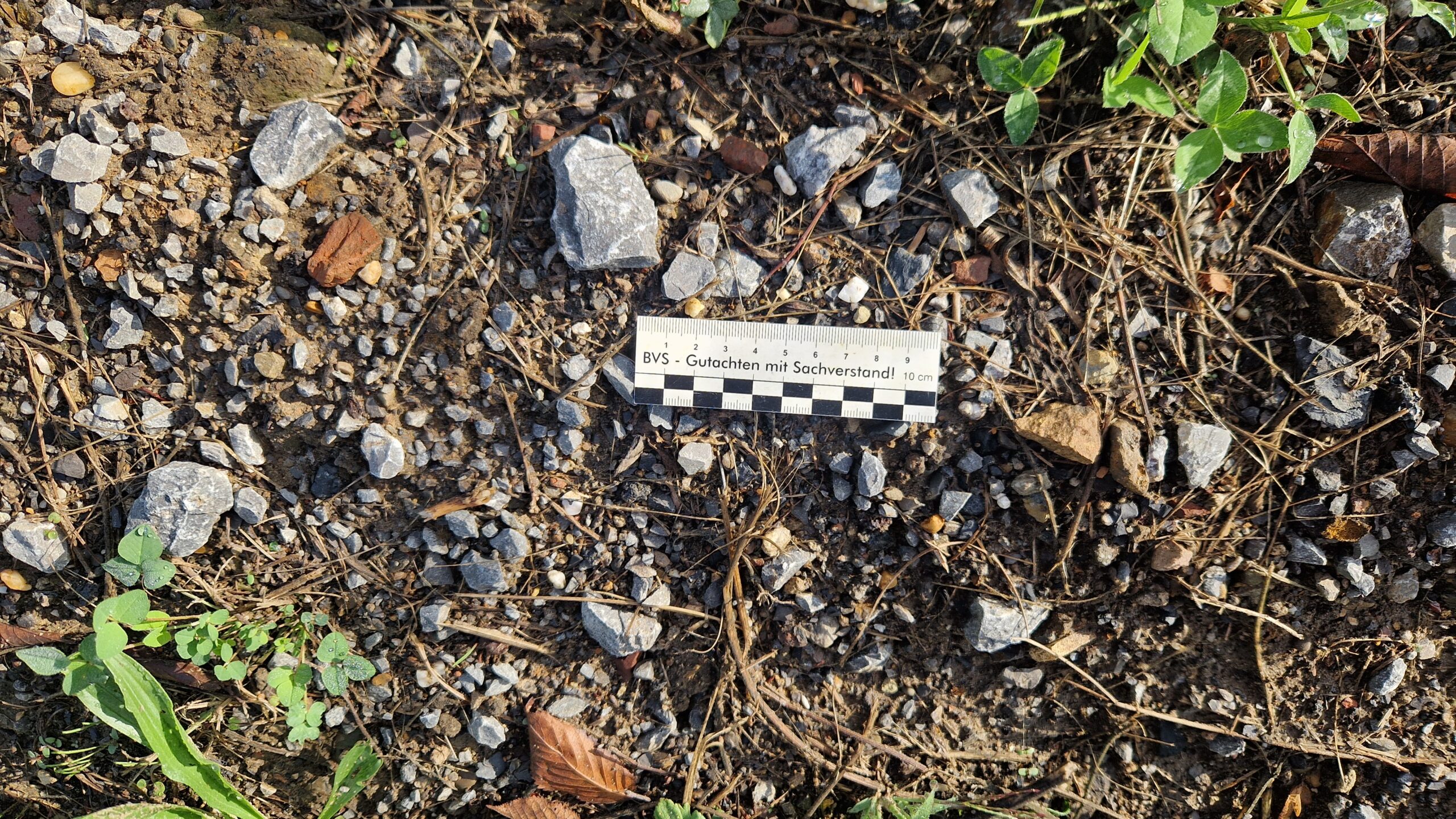 Asbest im Boden – Streitfall „Hintergrundbelastung“ in Rekultivierungsboden