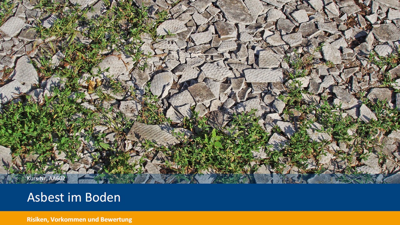BEW-Seminar „Asbest im Boden. Risiken, Vorkommen und Bewertung“ am 30.06.2025